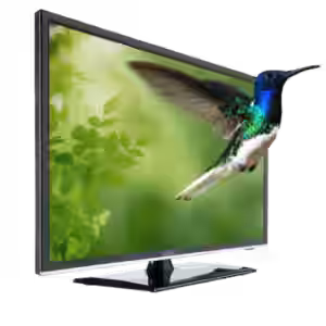 colibri 6524 (12/24V Smart TV) *Kundenrückläufer*