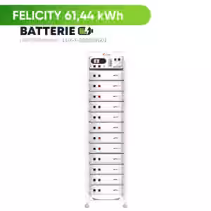 Zuverlässige Energieversorgung für Ihr Zuhause Die LUX-Y-48100HG01 ist eine leistungsstarke LiFePO4-Batterie