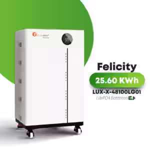 Felicity LUX-X-48100LG01 48V 200AH 5
