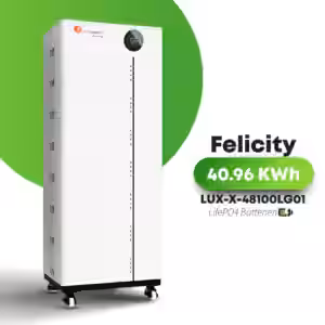 Felicity LUX-X-48100LG01 48V 200AH 5