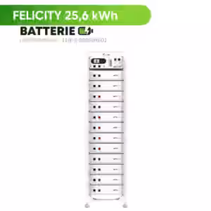 Zuverlässige Energieversorgung für Ihr Zuhause Die LUX-Y-48100HG01 ist eine leistungsstarke LiFePO4-Batterie