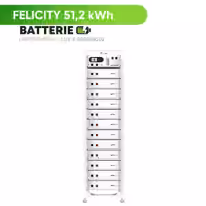 Zuverlässige Energieversorgung für Ihr Zuhause Die LUX-Y-48100HG01 ist eine leistungsstarke LiFePO4-Batterie